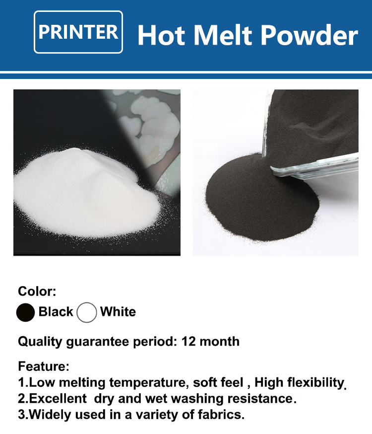 1000g 1kg Proszek DTF Drobny P – Dtf Printer Machine recenzja i cena